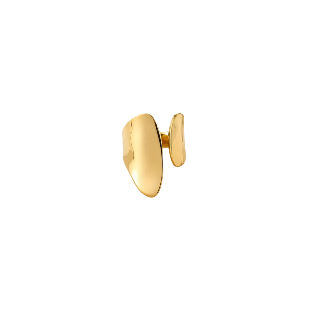 Sloane Ring